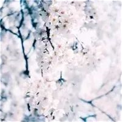 妈妈年龄用的微信头像(共22张)