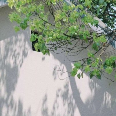 适合女人做头像的风景(优选16张)