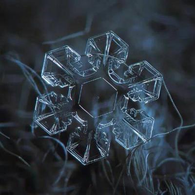 50多岁爸爸用的微信头像(18张)