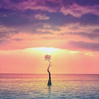 年龄大一点的头像(16张)