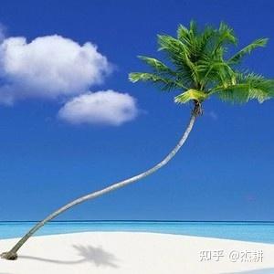 风景画微信头像高清图片(16张)