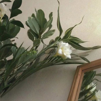 风景画微信头像高清图片(16张)