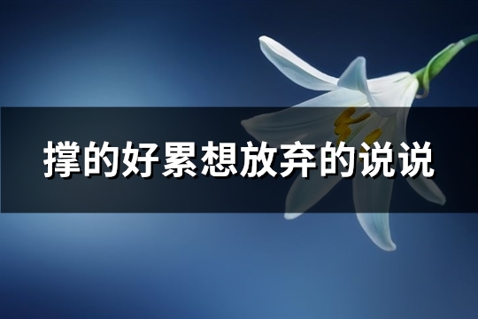 撑的好累想放弃的说说(81句)