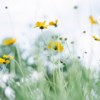 中年人微信头像(优选16张)