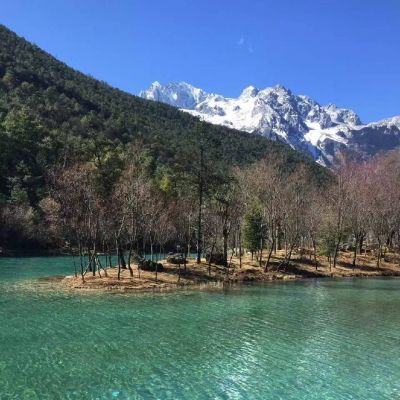 中年人微信头像(优选16张)