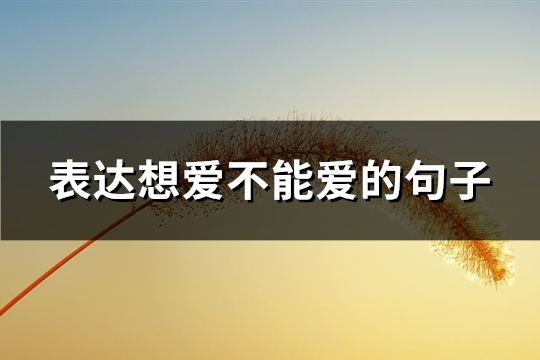 表达想爱不能爱的句子(60句) 表达想爱不能爱的句子(60句)