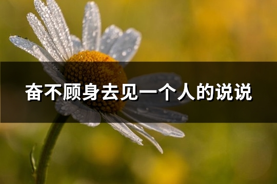 奋不顾身去见一个人的说说(优选99句)