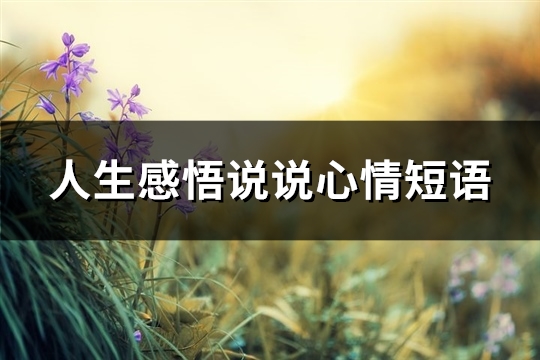 人生感悟说说心情短语(推荐80句)