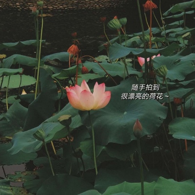 永不换的好看头像风景(精选16张)
