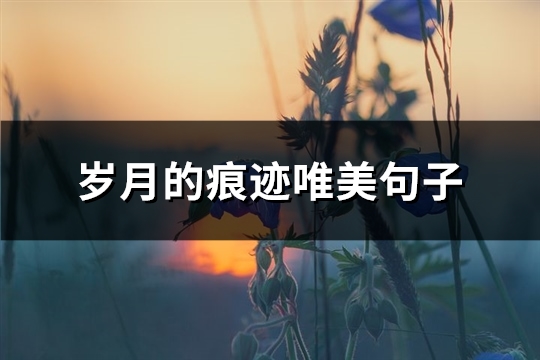 岁月的痕迹唯美句子(优选90句)