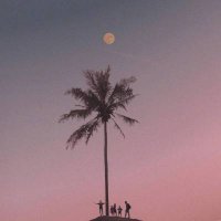 高清唯美适合做微信头像的图片(优选16张)