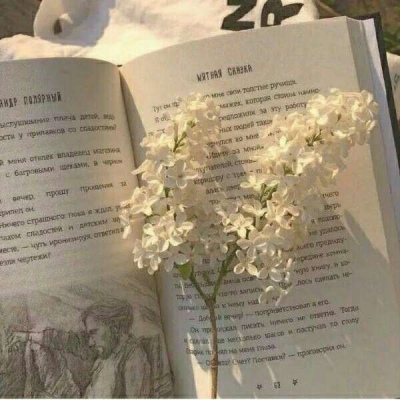 2024好运的微信头像女士(精选16张)