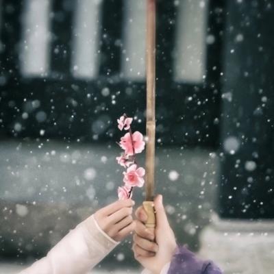 2024头像女暴富(12张)