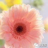 2024年四十岁女人微信头像(共12张)