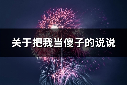 关于把我当傻子的说说