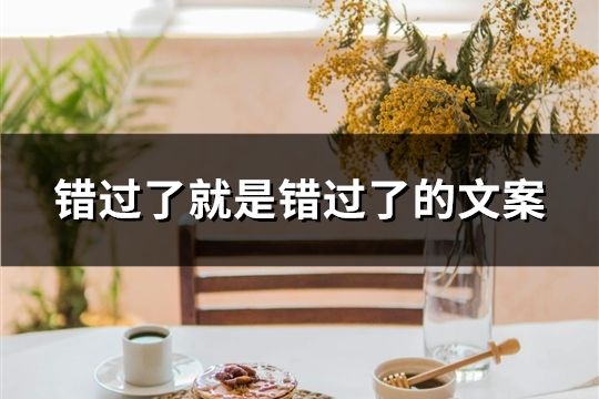 错过了就是错过了的文案
