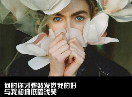 关于忘掉一个人的说说