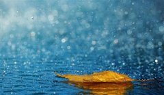 关于刮风下雨的心情说说
