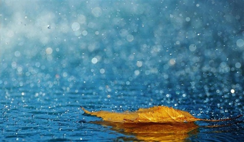 关于刮风下雨的心情说说