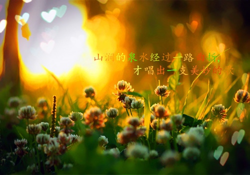 形容勤奋成功的句子
