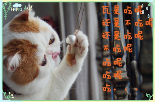 嘴笨不会说话的说说