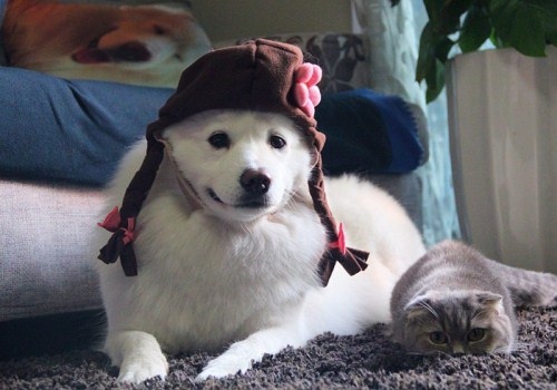 吹牛的搞笑说说大全集