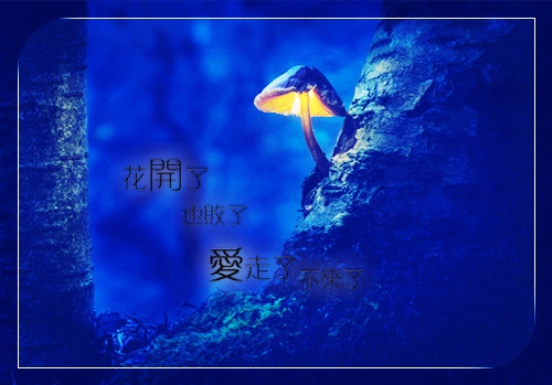 迎接曙光的心情说说