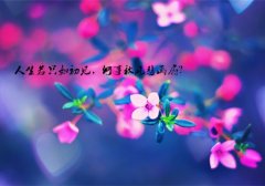 在落魄困难的时候说说
