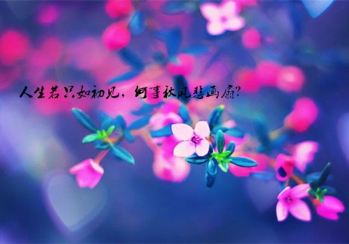 在落魄困难的时候说说