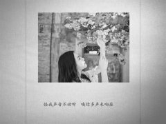 关于失恋了伤心的说说