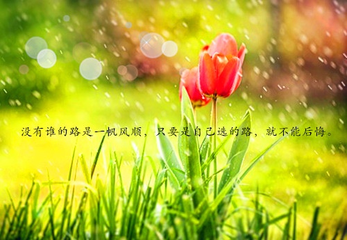 反驳别人的句子大全