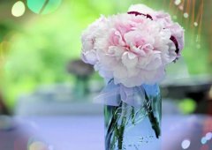 身受重病的折磨的说说