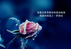 2020年正能量的句子经典语句