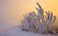 第一场雪的说说心情短语