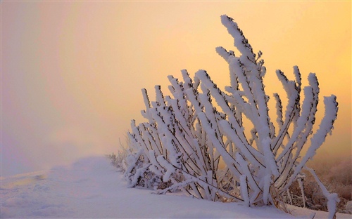 第一场雪的说说心情短语