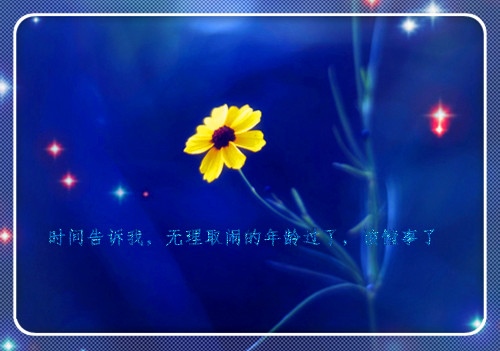 女人必须要坚强一点说说