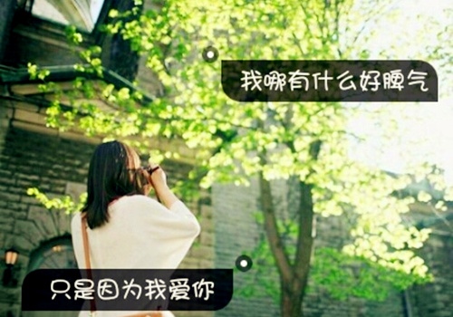 一个人挺好的励志说说 单身一个人挺好的句子