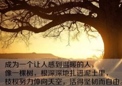 早安发圈吸引人的句子正能量