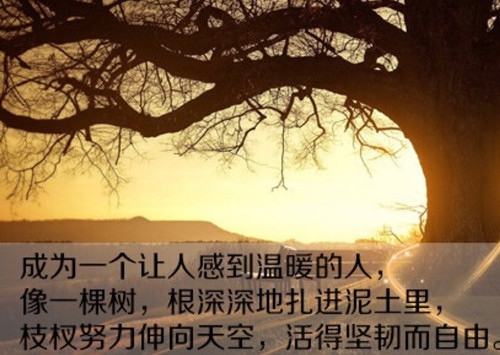 早安发圈吸引人的句子正能量