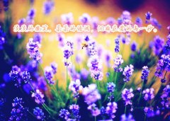 热情总会变冷淡的说说