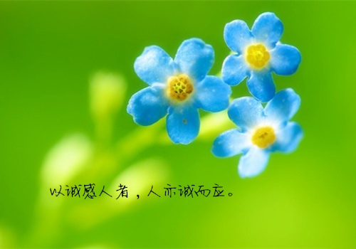忍忍就过去了的说说 一定要学会忍的说说