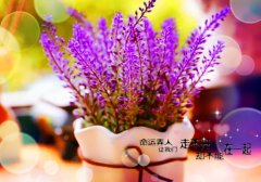 怕长胖的幽默风趣说说