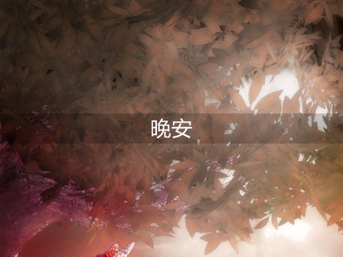 睡前晚安的朋友圈说说心情短语
