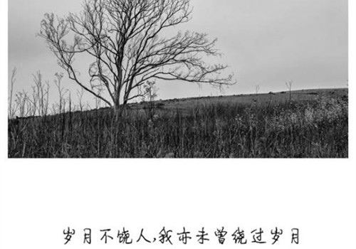 人在情绪低落的时候说说 突然心情很低落的说说
