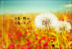 一个人很潇洒霸气励志说说