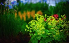 终于放下了感觉很轻松的说说