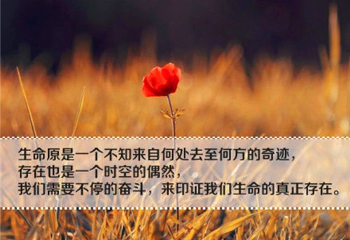 充满正能量的早安说说