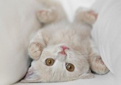 感觉心里空荡荡的说说