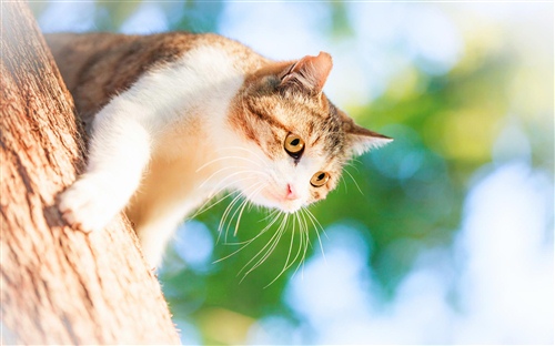 祝周末愉快的的一句话