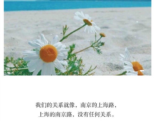 自己纠结自己的说说